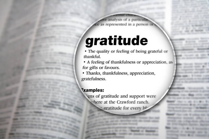 Putting Gratitude to Work at Work